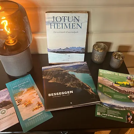 Beitostolen! Midt I Sentrum! In Out! Badstue-massasjedusj-steamdusj