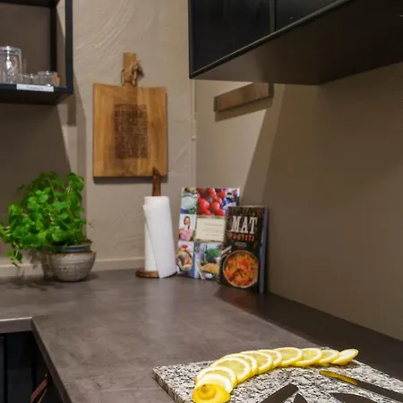 Beitostølen! Midt I Sentrum! In Out! Badstue-massasjedusj-steamdusj Beitostolen