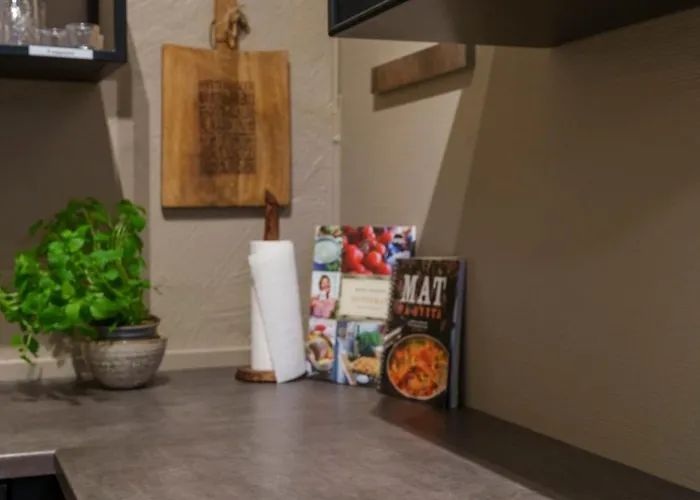 Beitostolen! Midt I Sentrum! In Out! Badstue-massasjedusj-steamdusj Beitostolen